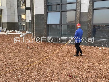 南海沙頭房屋白蟻預防