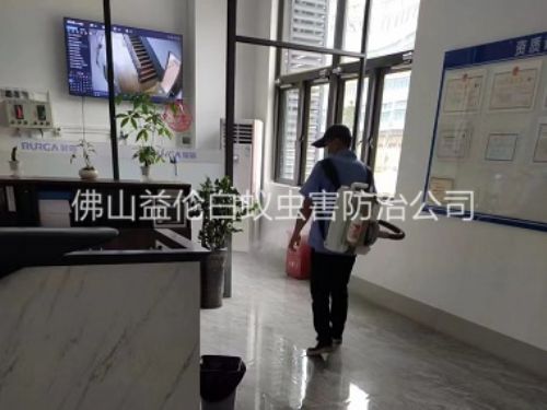 黃岐室內消殺蚊蠅工程